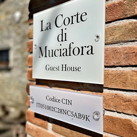 Corte Di Muciafora Living Апартаменты Borgo a Giovi